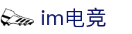 IM(股份有限公司)电竞-电子竞技平台